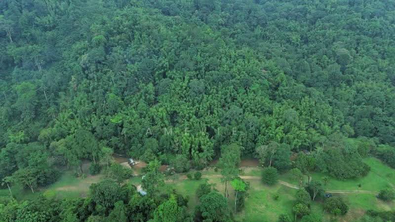 Agricultural Land for Sale in Antara Gapi (Ulu Yam) - Amelie Tan - PropertyGuru.com.my