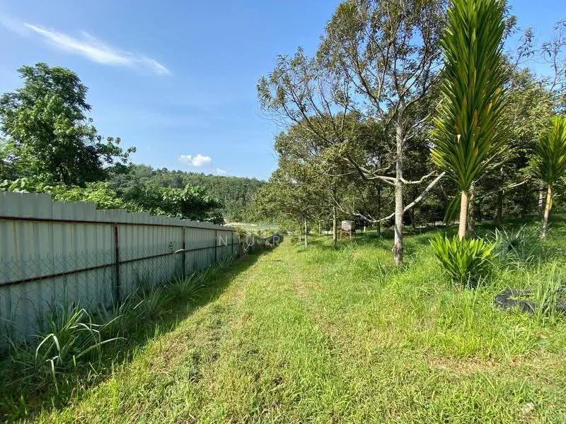 Tanah Pertanian untuk Dijual di Lenggeng (Negeri Sembilan) - Nurul Izza - PropertyGuru.com.my