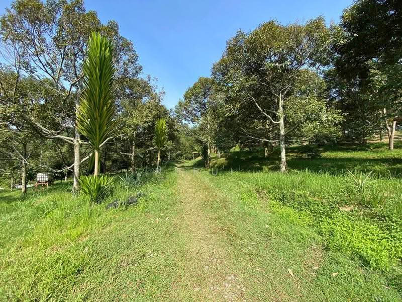 Tanah Pertanian untuk Dijual di Lenggeng (Negeri Sembilan) - Nurul Izza - PropertyGuru.com.my