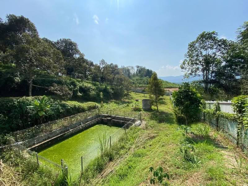 Tanah Pertanian untuk Dijual di Lenggeng (Negeri Sembilan) - Nurul Izza - PropertyGuru.com.my