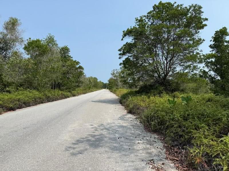 Kilang Terpisah untuk Dijual di Pengerang (Johor) - Kelly Wai - Exterior - PropertyGuru.com.my