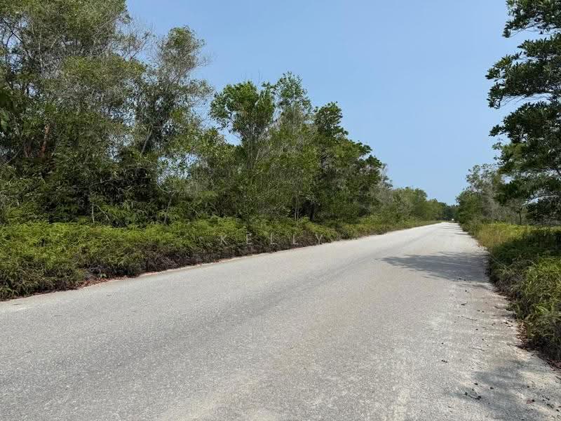 Kilang Terpisah untuk Dijual di Pengerang (Johor) - Kelly Wai - Exterior - PropertyGuru.com.my