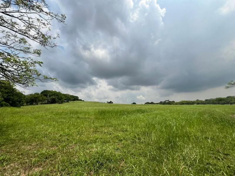 Residential Land for Sale in Leisure Farm (Gelang Patah) - Ying Xuan - Exterior - PropertyGuru.com.my
