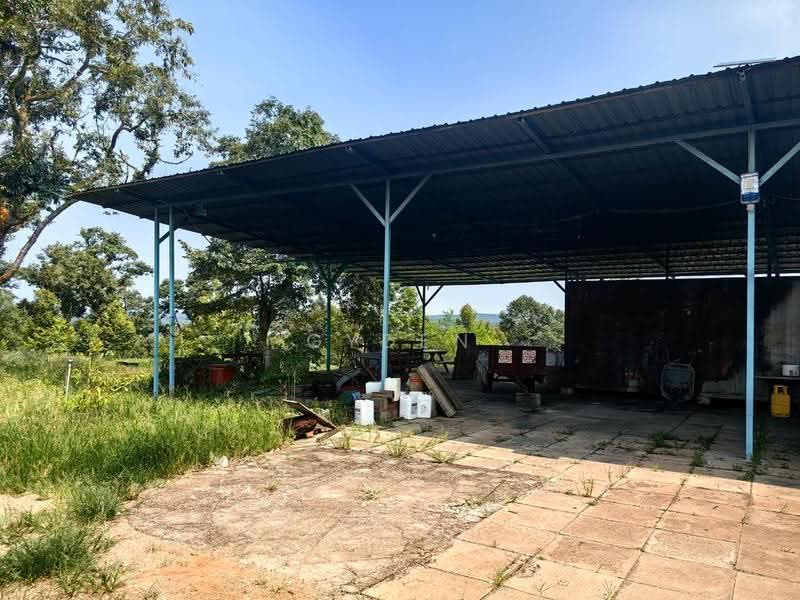 Agricultural Land for Sale in Kampung Bukit Samsu (Kota Tinggi) - Gyden Heng - Exterior - PropertyGuru.com.my