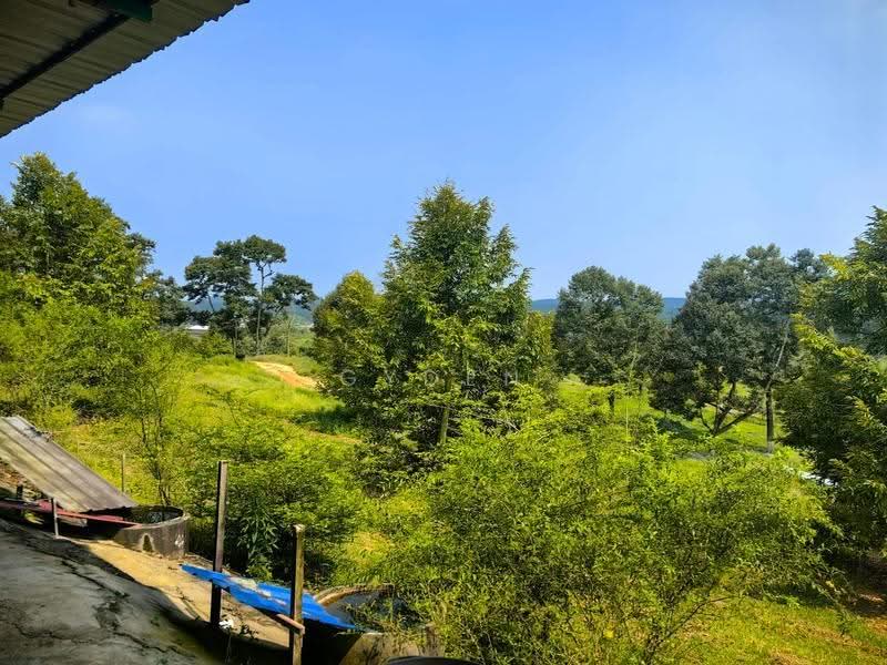 Agricultural Land for Sale in Kampung Bukit Samsu (Kota Tinggi) - Gyden Heng - PropertyGuru.com.my