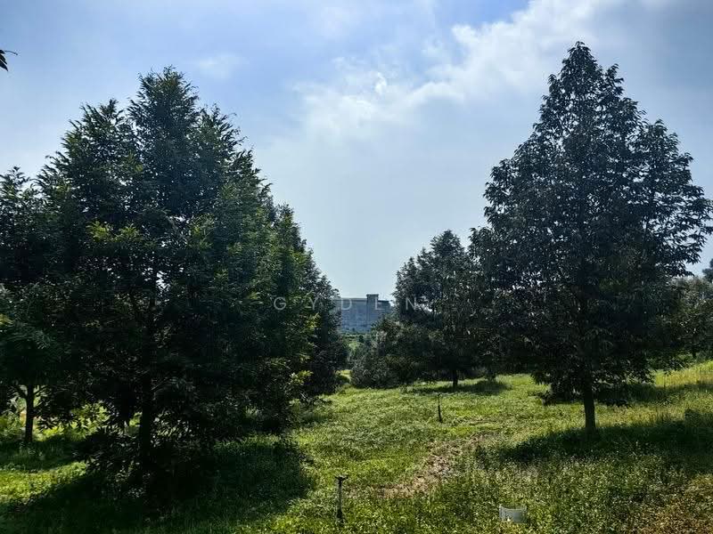 Agricultural Land for Sale in Kampung Bukit Samsu (Kota Tinggi) - Gyden Heng - PropertyGuru.com.my