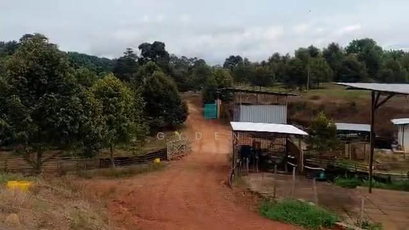 Agricultural Land for Sale in Kampung Bukit Samsu (Kota Tinggi) - Gyden Heng - PropertyGuru.com.my