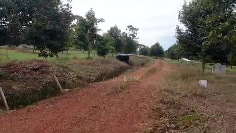 Agricultural Land for Sale in Kampung Bukit Samsu (Kota Tinggi) - Gyden Heng - PropertyGuru.com.my