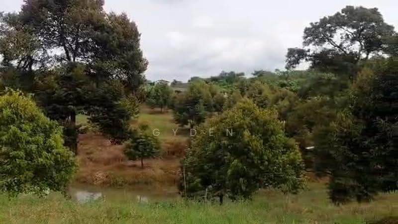 Agricultural Land for Sale in Kampung Bukit Samsu (Kota Tinggi) - Gyden Heng - PropertyGuru.com.my