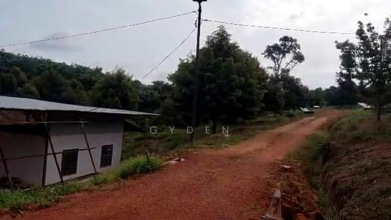 Agricultural Land for Sale in Kampung Bukit Samsu (Kota Tinggi) - Gyden Heng - PropertyGuru.com.my