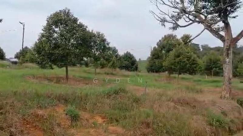 Agricultural Land for Sale in Kampung Bukit Samsu (Kota Tinggi) - Gyden Heng - PropertyGuru.com.my
