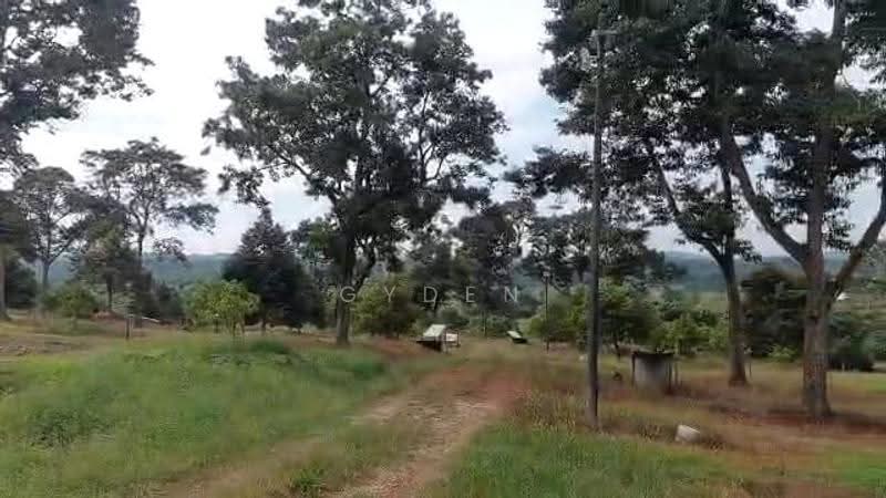 Agricultural Land for Sale in Kampung Bukit Samsu (Kota Tinggi) - Gyden Heng - PropertyGuru.com.my