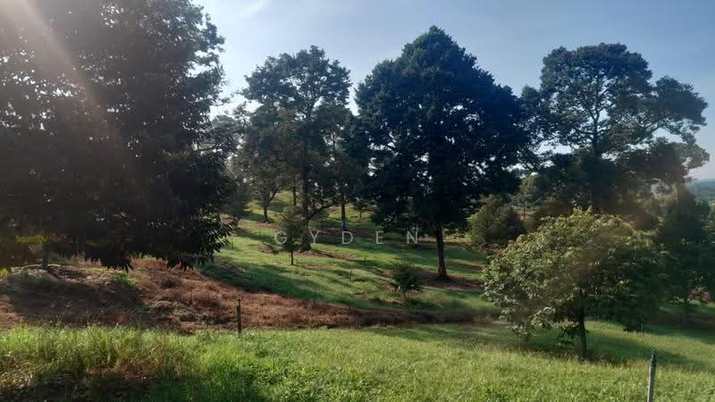 Agricultural Land for Sale in Kampung Bukit Samsu (Kota Tinggi) - Gyden Heng - PropertyGuru.com.my