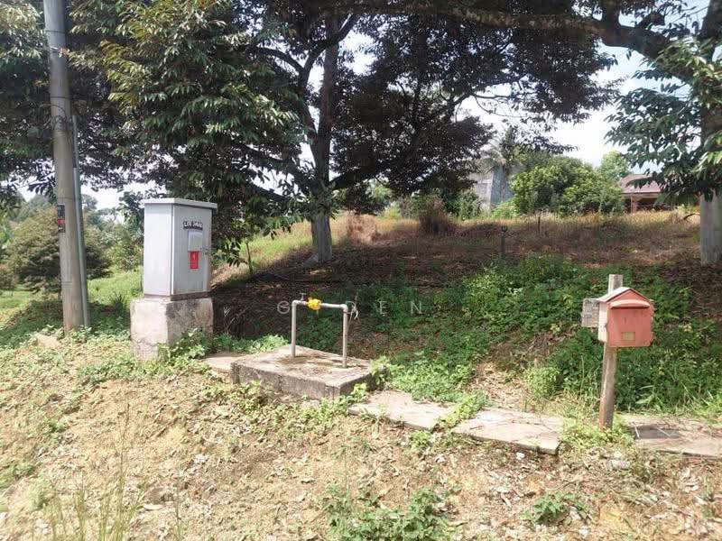 Agricultural Land for Sale in Kampung Bukit Samsu (Kota Tinggi) - Gyden Heng - PropertyGuru.com.my