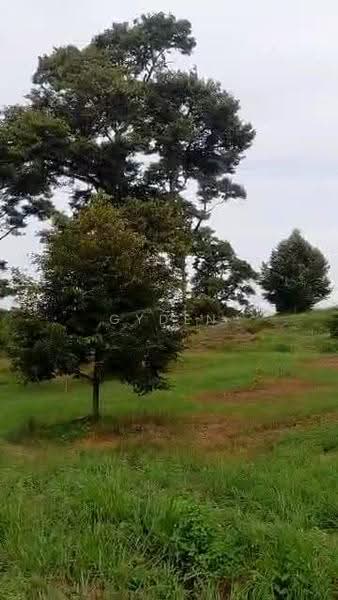 Agricultural Land for Sale in Kampung Bukit Samsu (Kota Tinggi) - Gyden Heng - PropertyGuru.com.my