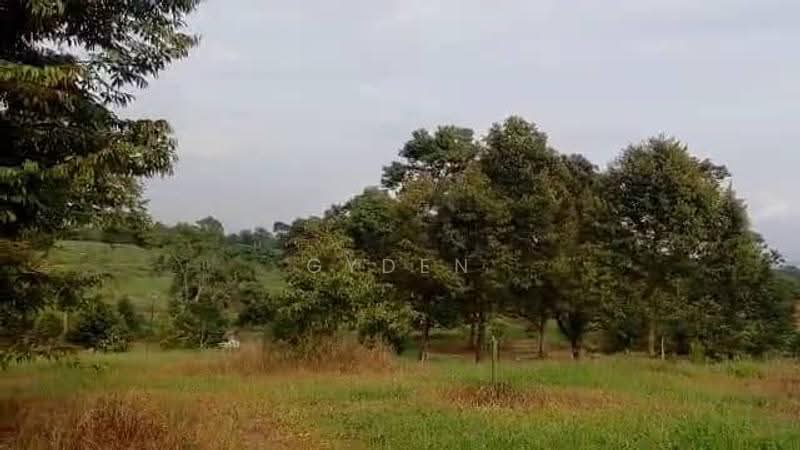 Agricultural Land for Sale in Kampung Bukit Samsu (Kota Tinggi) - Gyden Heng - PropertyGuru.com.my