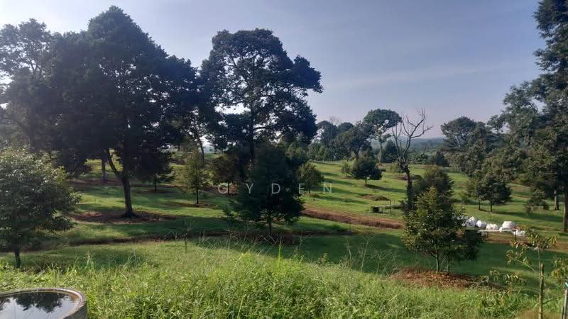 Agricultural Land for Sale in Kampung Bukit Samsu (Kota Tinggi) - Gyden Heng - PropertyGuru.com.my