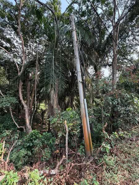 Agricultural Land for Sale in Kulai (Johor) - AIN RAHIM - Exterior - PropertyGuru.com.my