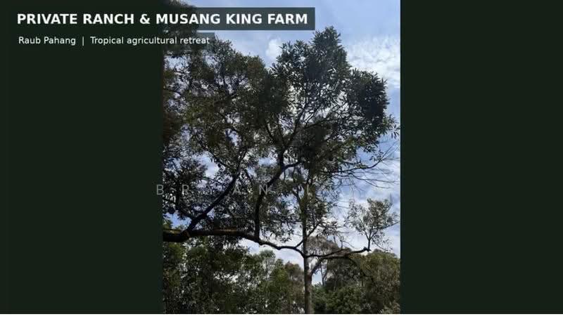 Tanah Pertanian untuk Dijual di Raub (Pahang) - Bryan Liew - Exterior - PropertyGuru.com.my