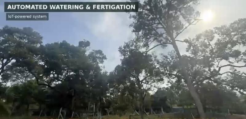 Tanah Pertanian untuk Dijual di Raub (Pahang) - Bryan Liew - PropertyGuru.com.my