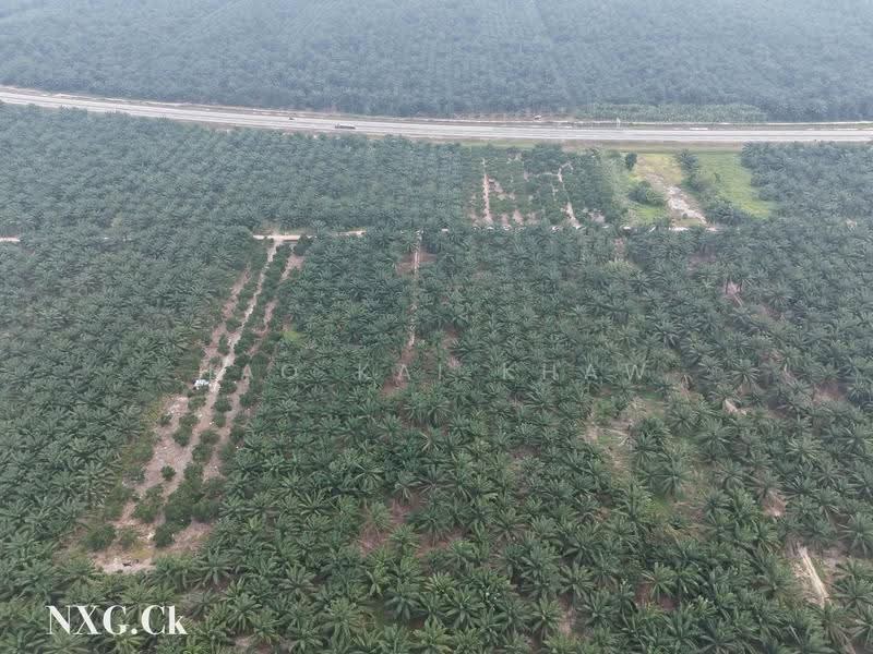 Agricultural Land for Sale in Kampung Sri Cheeding (Jenjarom) - Hao Kai Khaw - PropertyGuru.com.my