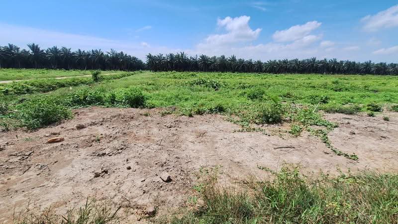 Tanah Perindustrian untuk Dijual di Pulau Carey (Selangor) - Ron Ngiam - Exterior - PropertyGuru.com.my