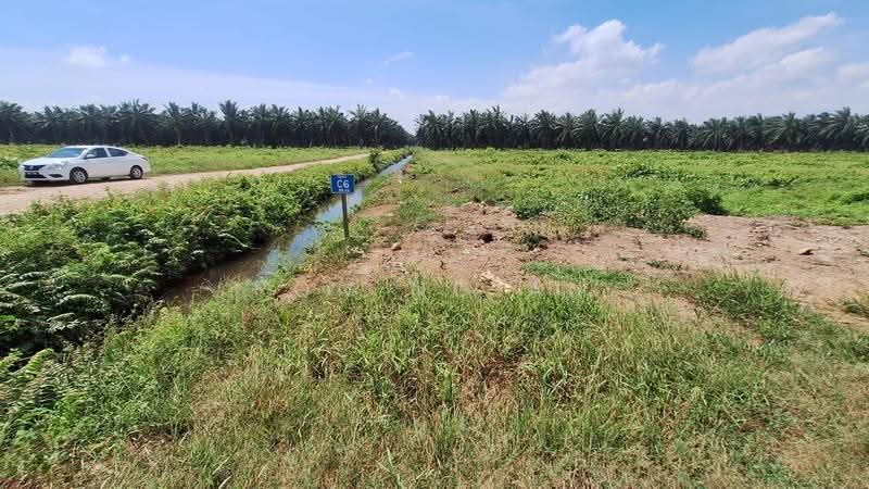 Tanah Perindustrian untuk Dijual di Pulau Carey (Selangor) - Ron Ngiam - Exterior - PropertyGuru.com.my