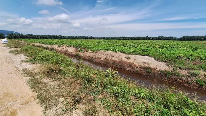 Tanah Perindustrian untuk Dijual di Pulau Carey (Selangor) - Ron Ngiam - Exterior - PropertyGuru.com.my
