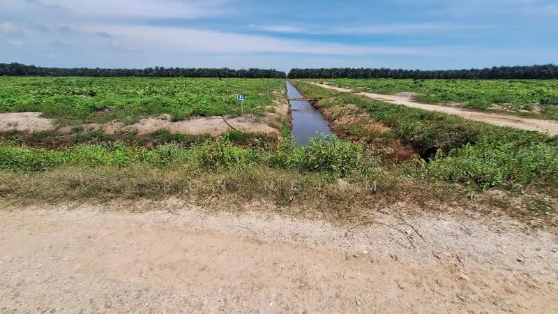 Tanah Perindustrian untuk Dijual di Pulau Carey (Selangor) - Ron Ngiam - Exterior - PropertyGuru.com.my