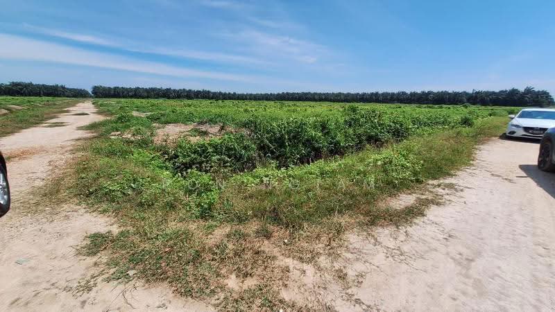 Tanah Perindustrian untuk Dijual di Pulau Carey (Selangor) - Ron Ngiam - Exterior - PropertyGuru.com.my