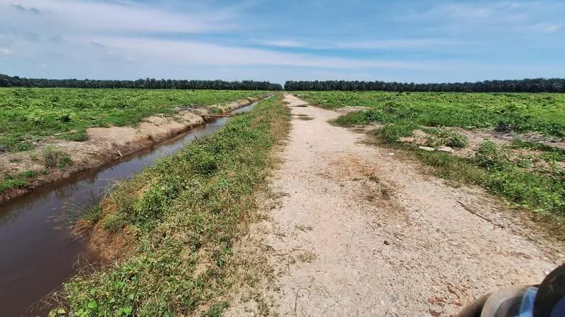 Tanah Perindustrian untuk Dijual di Pulau Carey (Selangor) - Ron Ngiam - Exterior - PropertyGuru.com.my
