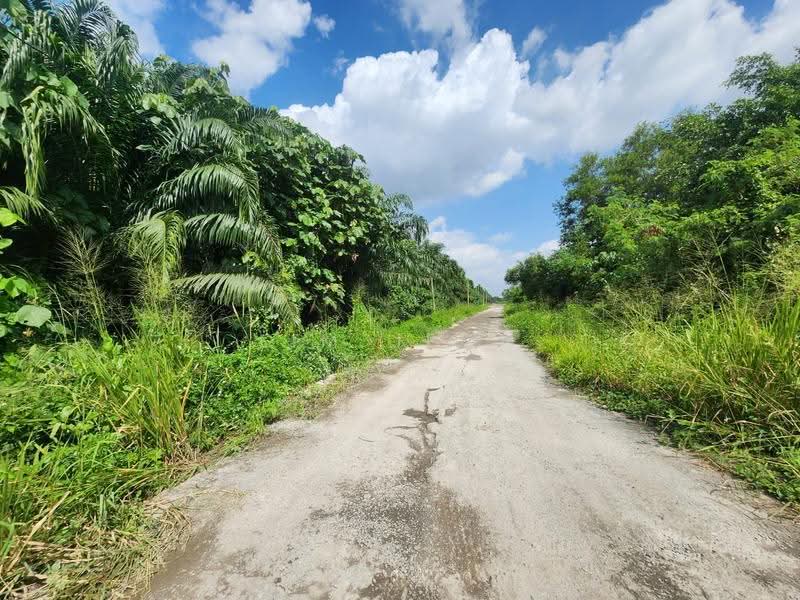 Agricultural Land for Sale in Telok Panglima Garang (Selangor) - Lim Jeon - Exterior - PropertyGuru.com.my