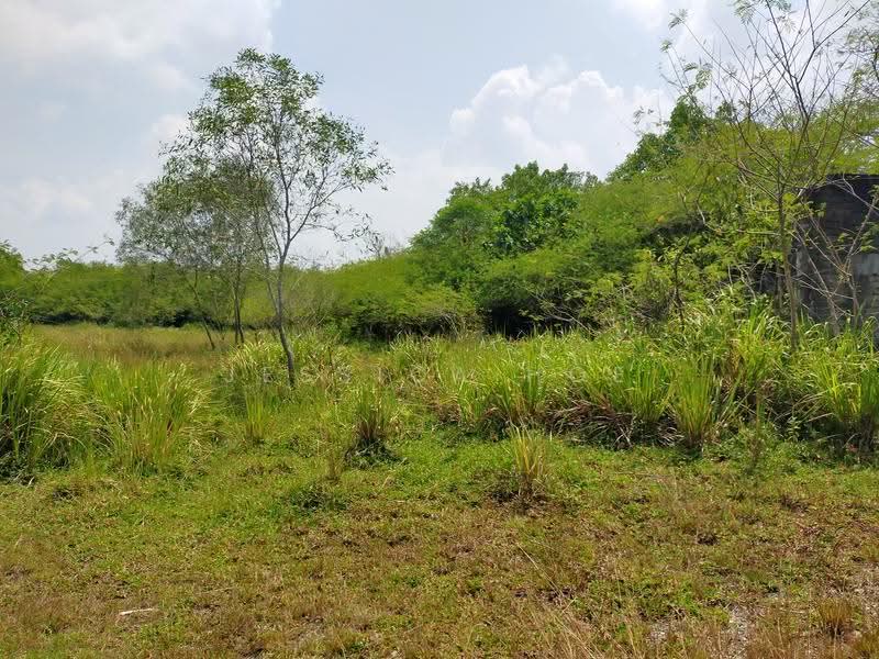 Commercial Land for Rent in Taman Semenyih Impian (Semenyih) - Jessica Hoe - Exterior - PropertyGuru.com.my