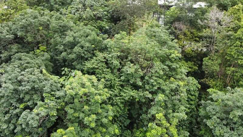 Tanah Banglo untuk Dijual di Country Heights Damansara (Kuala Lumpur) - Zack Ng - PropertyGuru.com.my