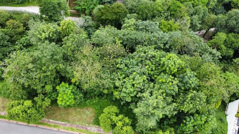 Tanah Banglo untuk Dijual di Country Heights Damansara (Kuala Lumpur) - Zack Ng - PropertyGuru.com.my