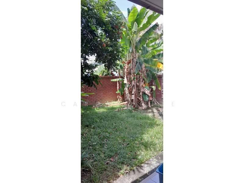 2-storey Terraced House for Sale in Bandar Utama (Selangor) - Carol White - Garden - PropertyGuru.com.my