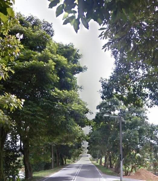 Tanah Komersial untuk Dijual di Pasir Gudang (Johor) - Kelly Wai - PropertyGuru.com.my
