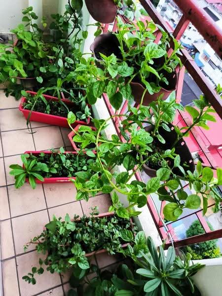 Apartment for Sale at Casa Impian - Kaze Kang - Balcony - PropertyGuru.com.my