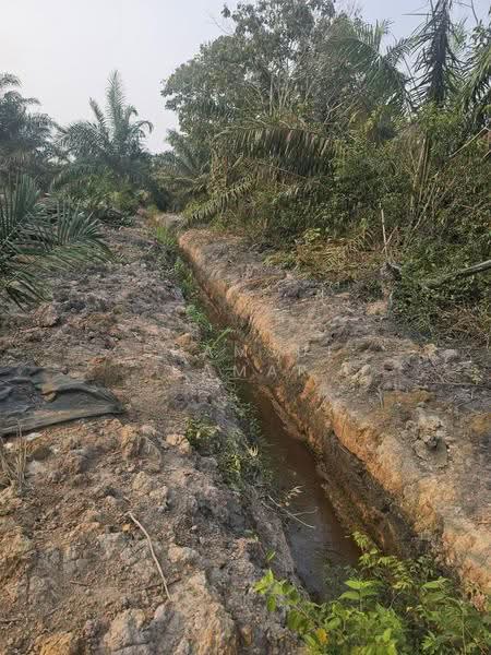 Agricultural Land for Sale in Yong Peng (Johor) - Shamsul Kamar Abd Shukor - Exterior - PropertyGuru.com.my