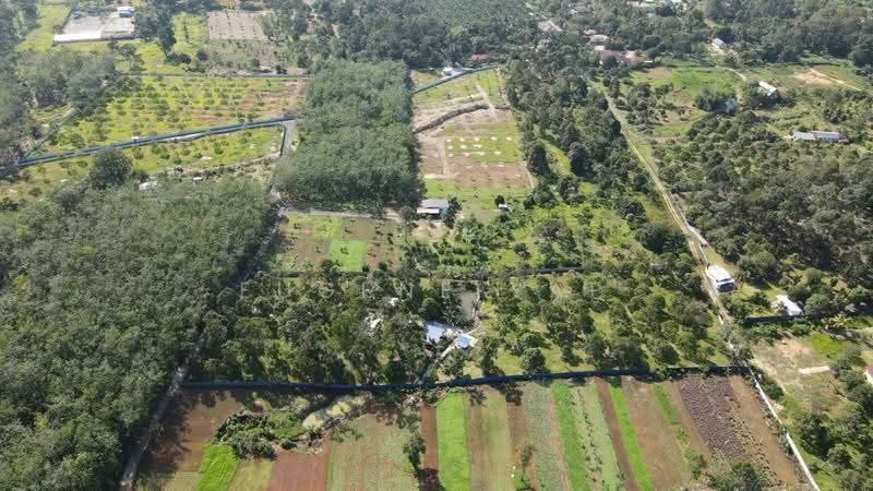Agricultural Land for Sale in Semenyih (Selangor) - Eugene Yap - Exterior - PropertyGuru.com.my