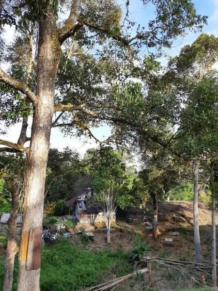 Agricultural Land for Sale in Serian (Sarawak) - KC Jee - Exterior - PropertyGuru.com.my
