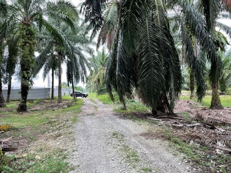 Industrial Land for Rent in Jenjarom (Selangor) - Jasper Wong - Exterior - PropertyGuru.com.my