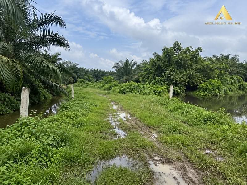 Tanah Perindustrian untuk Dijual di Simpang Ampat (Penang) - Crystal Tee - Exterior - PropertyGuru.com.my