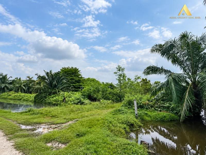 Tanah Perindustrian untuk Dijual di Simpang Ampat (Penang) - Crystal Tee - Exterior - PropertyGuru.com.my