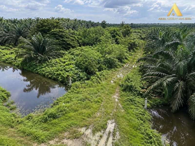 Tanah Perindustrian untuk Dijual di Simpang Ampat (Penang) - Crystal Tee - Exterior - PropertyGuru.com.my