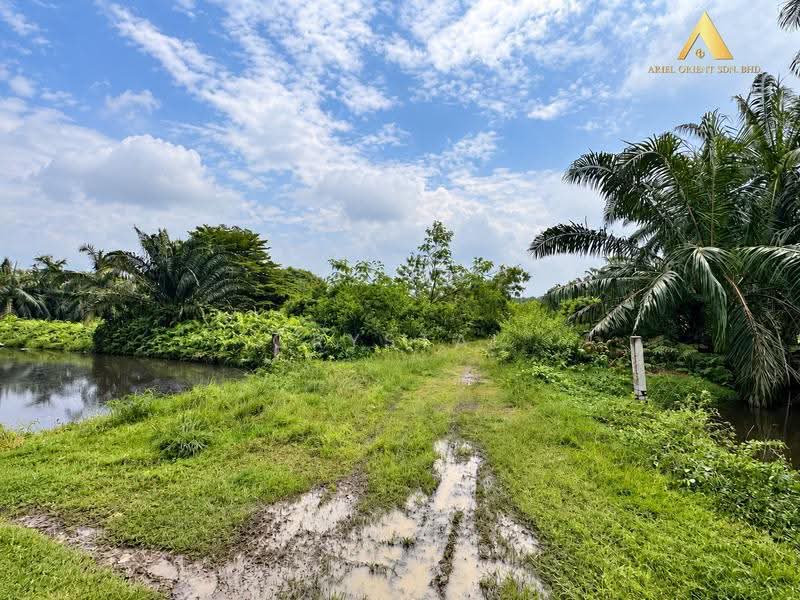 Tanah Perindustrian untuk Dijual di Simpang Ampat (Penang) - Crystal Tee - Exterior - PropertyGuru.com.my