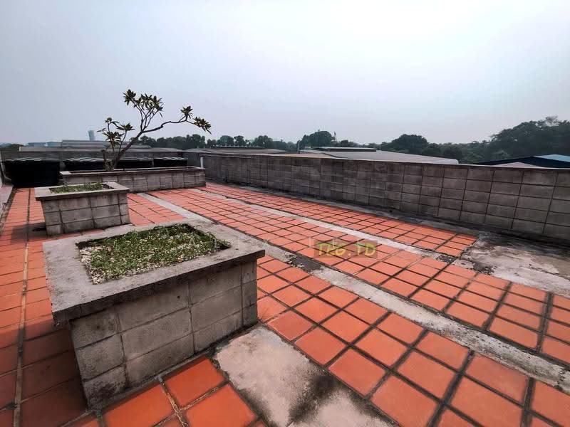 Gudang untuk Disewa di Kapar (Selangor) - Alex Lee - Roof - PropertyGuru.com.my
