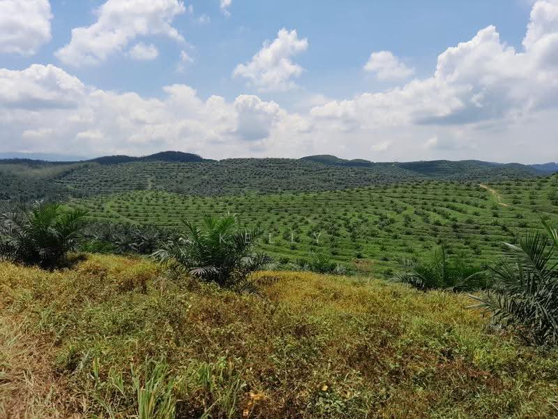 Agricultural Land for Sale in Kuala Pilah (Negeri Sembilan) - Kelly Wai - Exterior - PropertyGuru.com.my