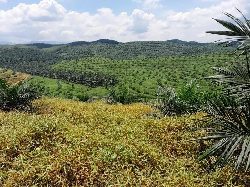 Agricultural Land for Sale in Kuala Pilah (Negeri Sembilan) - Kelly Wai - Exterior - PropertyGuru.com.my
