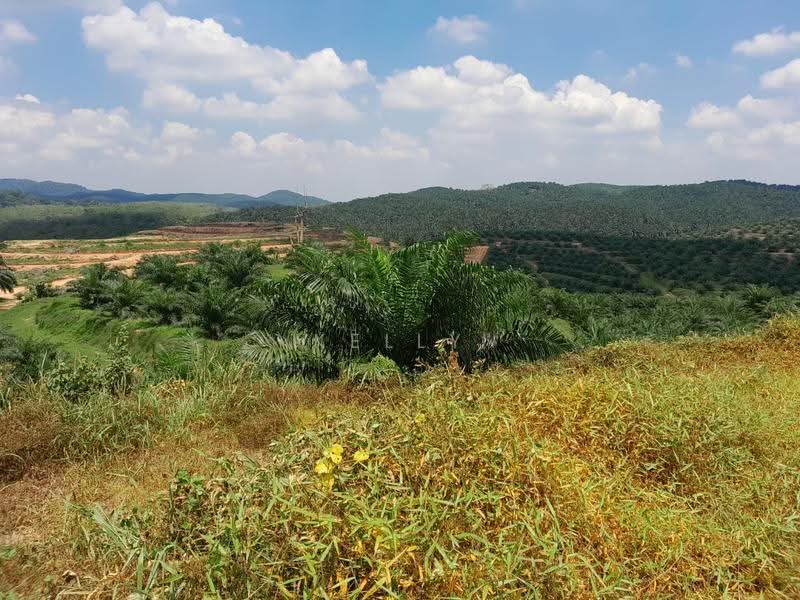 Agricultural Land for Sale in Kuala Pilah (Negeri Sembilan) - Kelly Wai - Exterior - PropertyGuru.com.my
